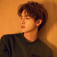 đặng việt anh(bff na9)