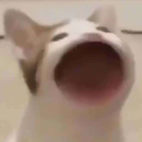 Quần chúng👁️👄👁️