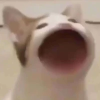 Quần chúng👁️👄👁️
