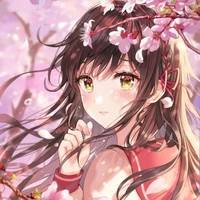 Tác giả cute