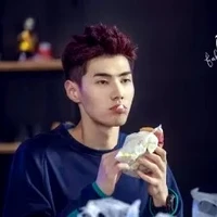 Lão Miêu(ZGDX_CAT)