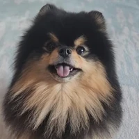 Yeontan
