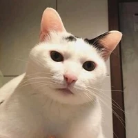 Tác giả đẹp vỗn lài