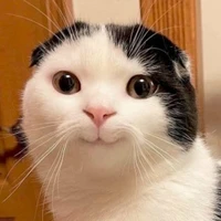 Nhân vật phụ:D