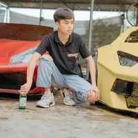 anh Sang