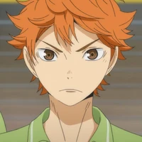 Hinata Shoyo_Henry Louis (11)