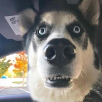 Tiên Môn Bách Gia [H.ã.m l.o.l=))👌✨]