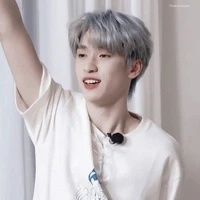 Nghiêm Hạo Tường