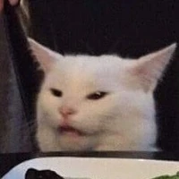 y/n