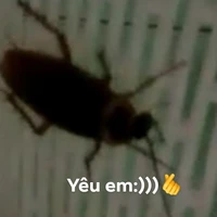 tg mệt mỏi