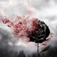 all