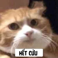 tác giả vô tri:)))