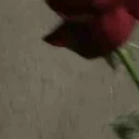 ken_dra