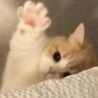 chi_f