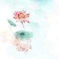 Tài xế