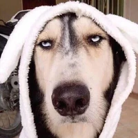 Tác Giả Cờ Hó=)))