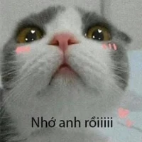 Đa nhân vật
