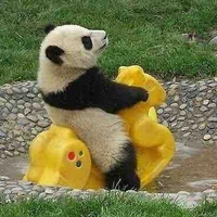 Uyển Uyển 🐥