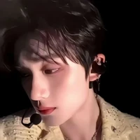 Đinh Trình Hâm