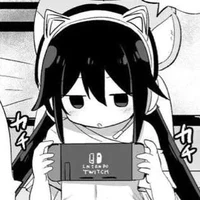 t/g