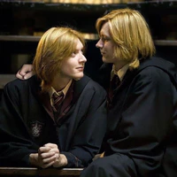 Weasley twins