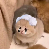 Không thích đọc nhưng thích viết ngược