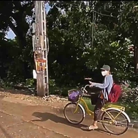 Ếch ộp