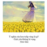 All (trừ những ai cần trừ)
