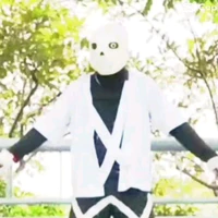 cost sans