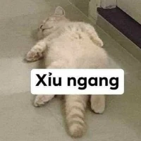 Tác giả