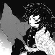 Todoroki Giyuu[Tomioka Giyuu]