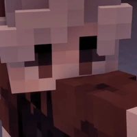 Winky