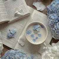 đồ đệ đồng môn 