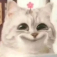 con bạn báo đời của tác(quýt)