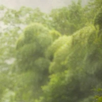 All - trừ những ai cần trừ