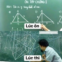 tất cả các học sinh ở trường