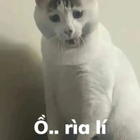 Trận +Hòa
