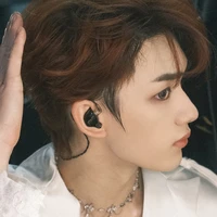 Đinh Trình Hâm(anh1)