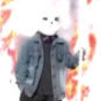 lost sans