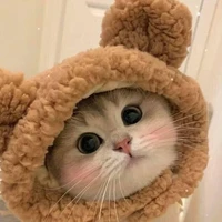 Tác giả 