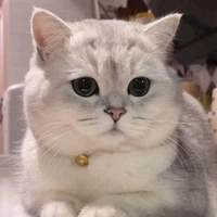 Quả Quả