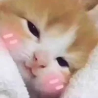 tg lười nhưng mặn😔