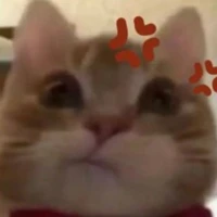 All