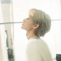 Trương Chân Nguyên