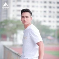 Việt Anh