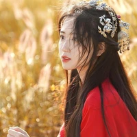 A Vãn《Tỳ Nữ Chiêu Hy》