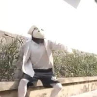 alpha