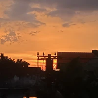 mấy e và bot