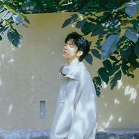 Lưu Diệu Văn