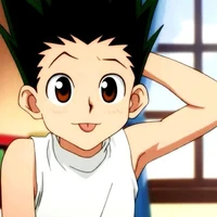 Gon Fresscss